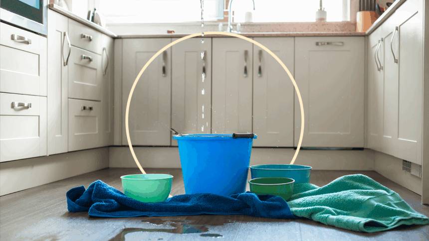 Does homeowner insurance cover roof leaks?