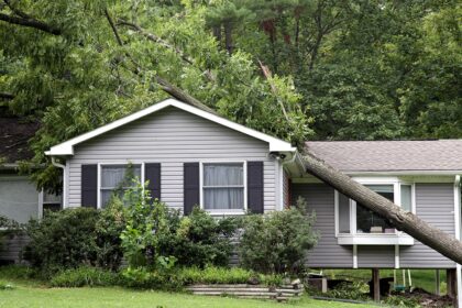 Will damage to the tree be covered by your home insurance?