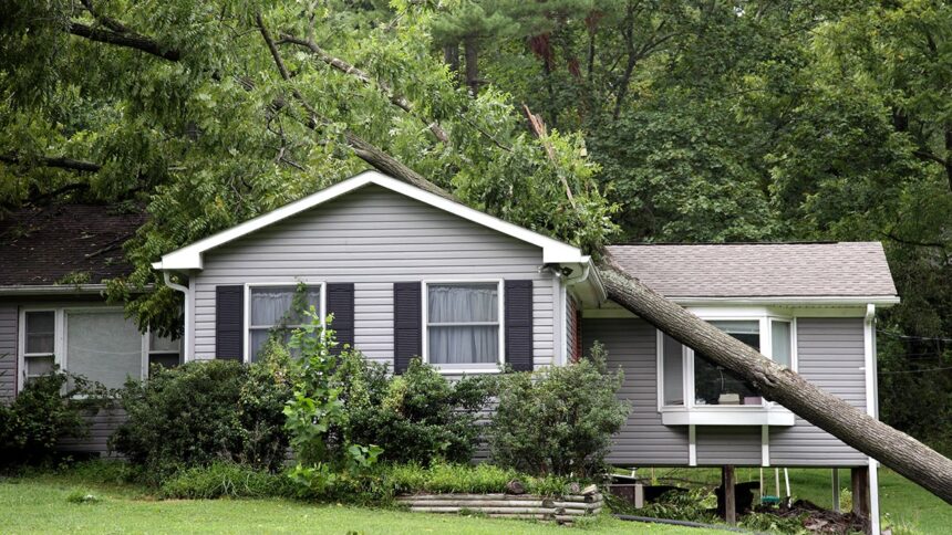 Will damage to the tree be covered by your home insurance?