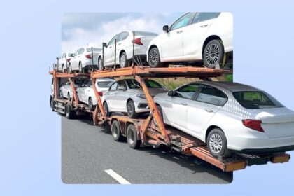 Customs duty should not drive your next car purchase