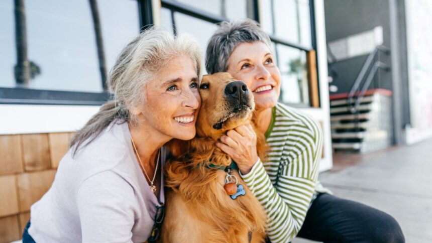 Six myths about purchasing life insurance
