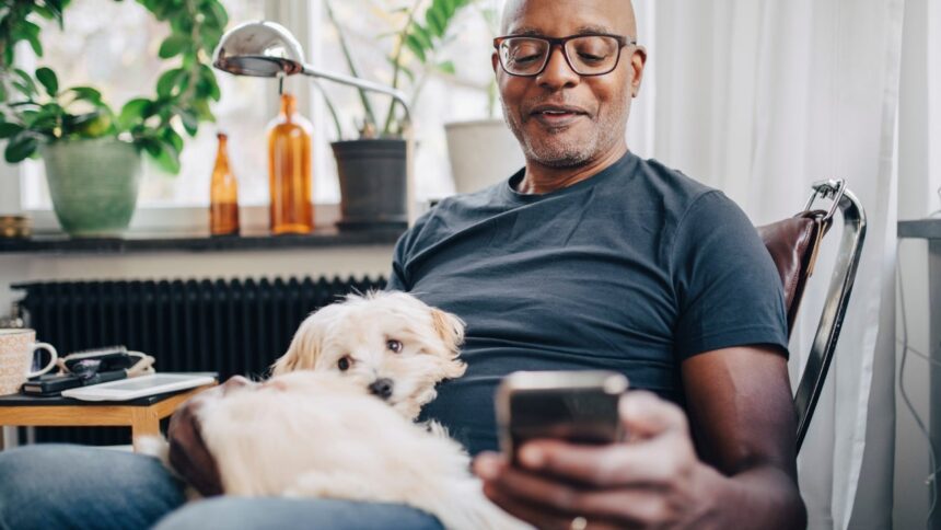 Pet Life Insurance: What is it and how does it work?